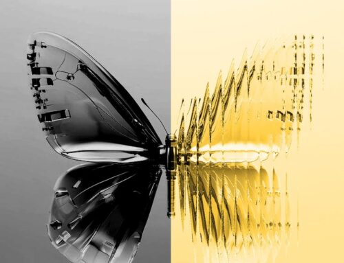 Meet the New Zeinny: The Rebirth of a Nigerian Fashion Icon